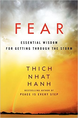 Link to Fear: Essential Wisdom for Getting Through the Storm