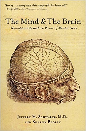 Link to The Mind and the Brain