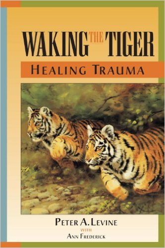 Link to Waking the Tiger